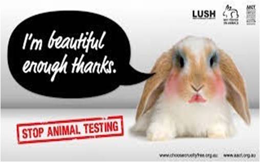 Vegan and cruelty-free makeup | VLCC Institute