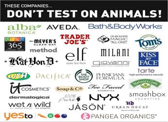 Cruelty free makeup products