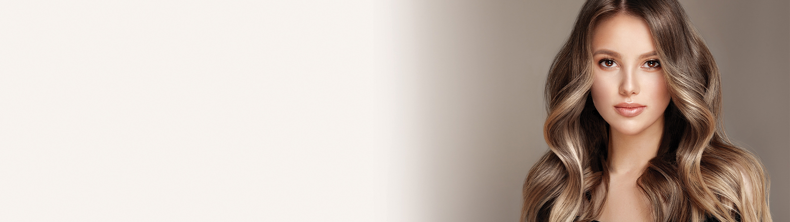 Desktop Banner